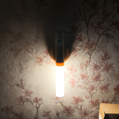 Intelligent Induction Light